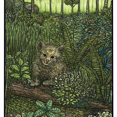 Ricardo Levins Morales Art Studio - Wholesale Stationery/Notecard Set - Conscious Critters Card Pack - Set of 123