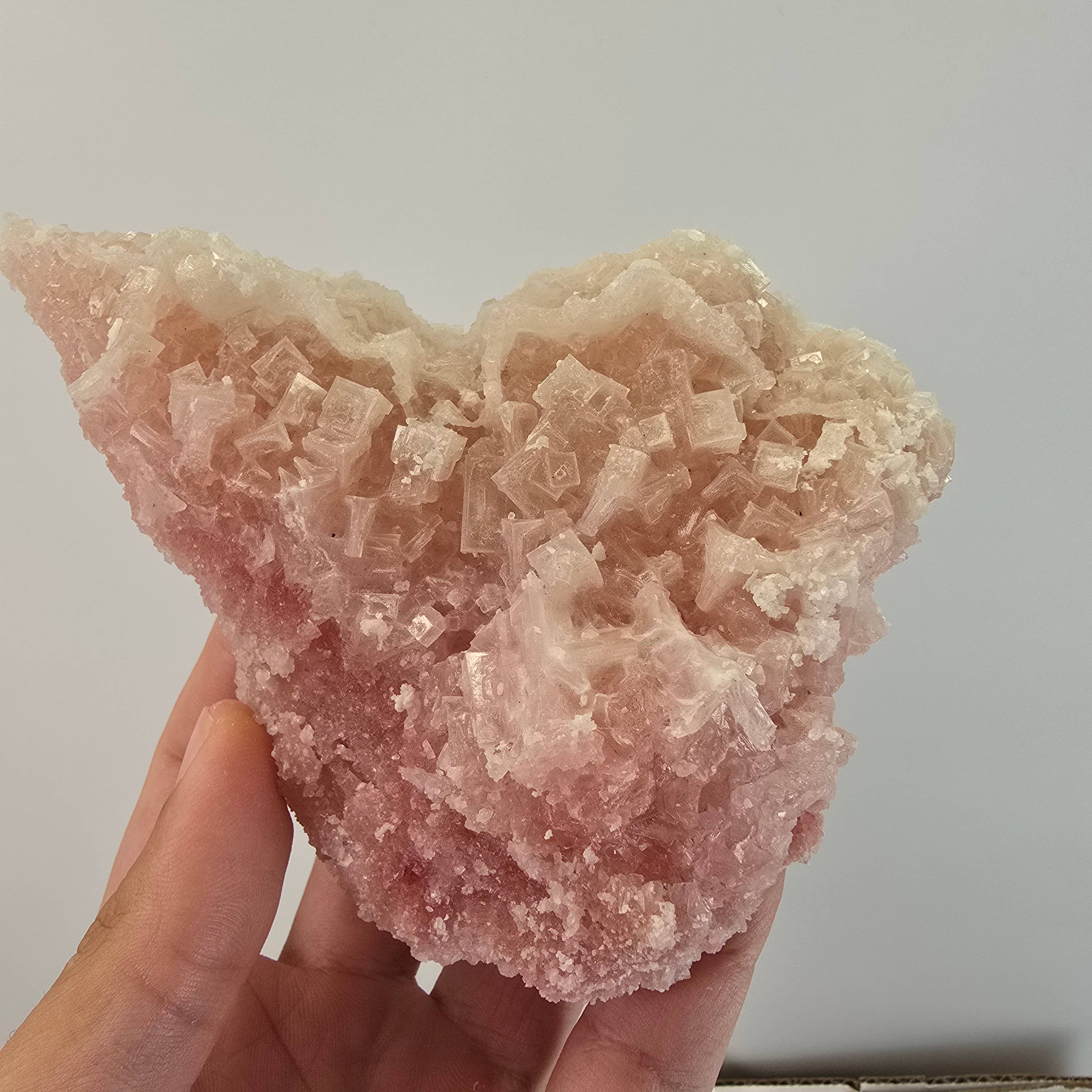 Aquamarine Daydream Wholesale - Wholesale Spiritual Stone/Crystal - 6pc Pink Halite ~ Bulk Mineral Flats ~ Crystal Specimens #134