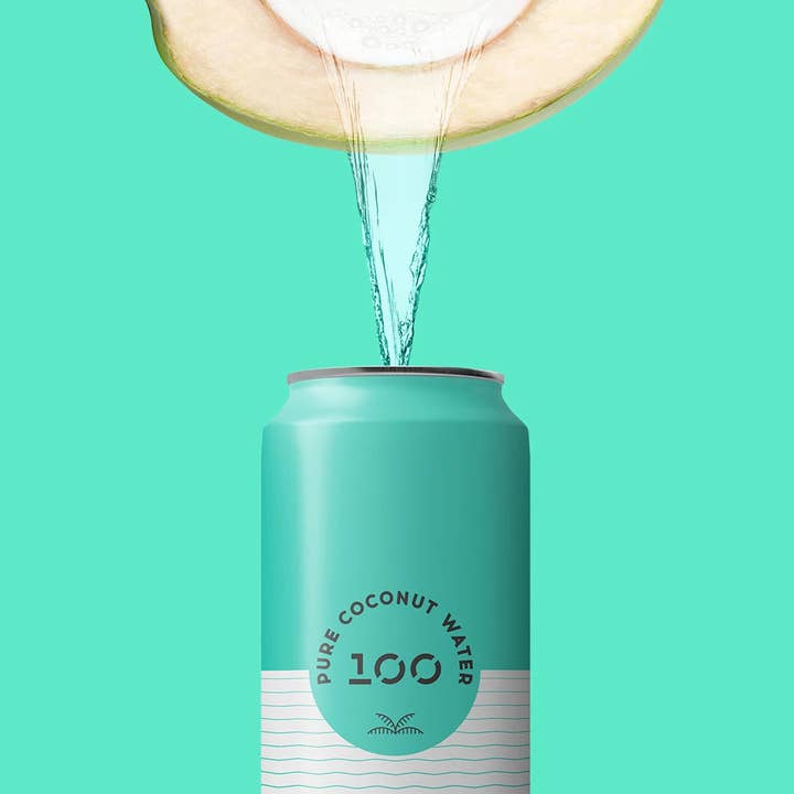 100 Coconuts - Wholesale Flavored/Infused Water (Non-Carbonated) - PURE COCONUT WATER 16.6oz - 12 Pack1