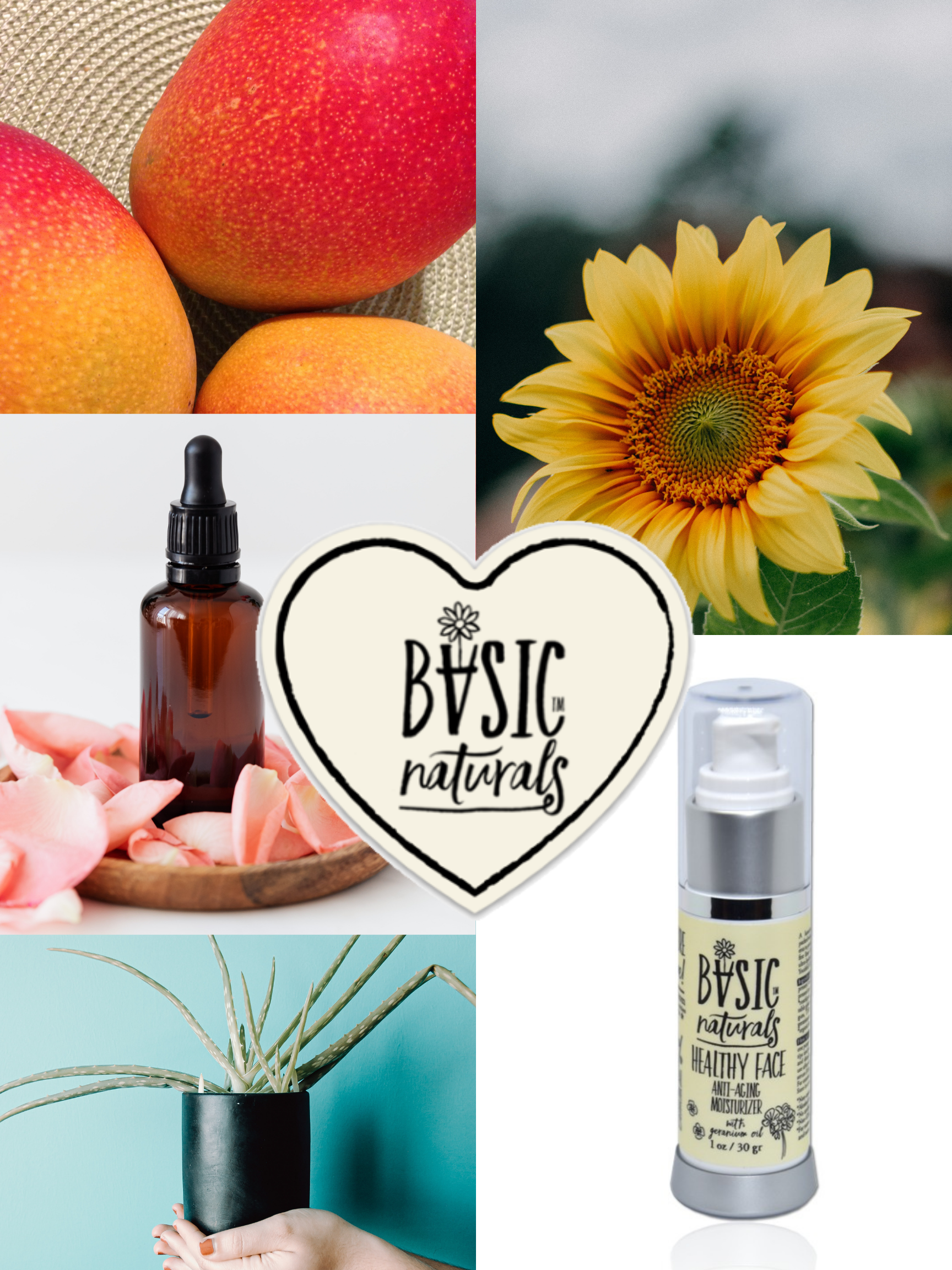 Basic Naturals Skincare - Wholesale Anti-Aging Moisturizer - HEALTHY FACE Rejuvenating Moisturizer2