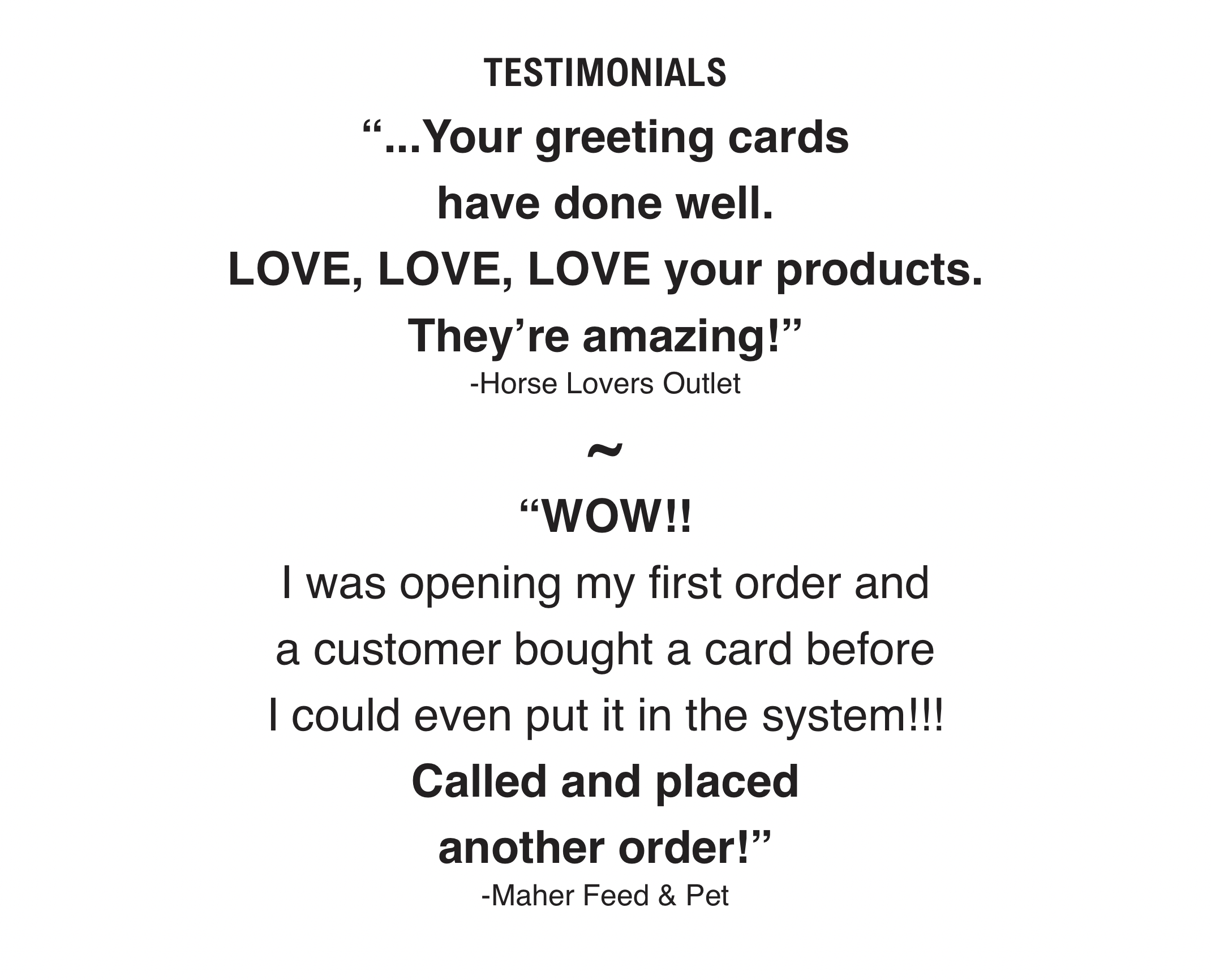 Horse Hollow Press / Pretty, Funny, Snarky Cards & Stickers - Wholesale Birthday Card - Horse Greeting Birthday Card / You're Now Being Judged / Fun2