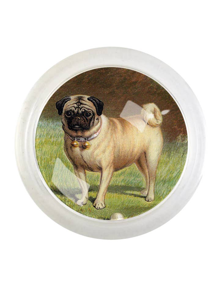 Vintage Pug Dog Round Glass 4" Coaster for wholesale by Ben's Garden