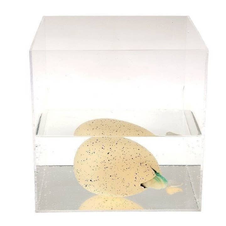 Rex London UK - Wholesale Classic Toy - Kids - Giant Hatching Dinosaur Egg - Prehistoric Land