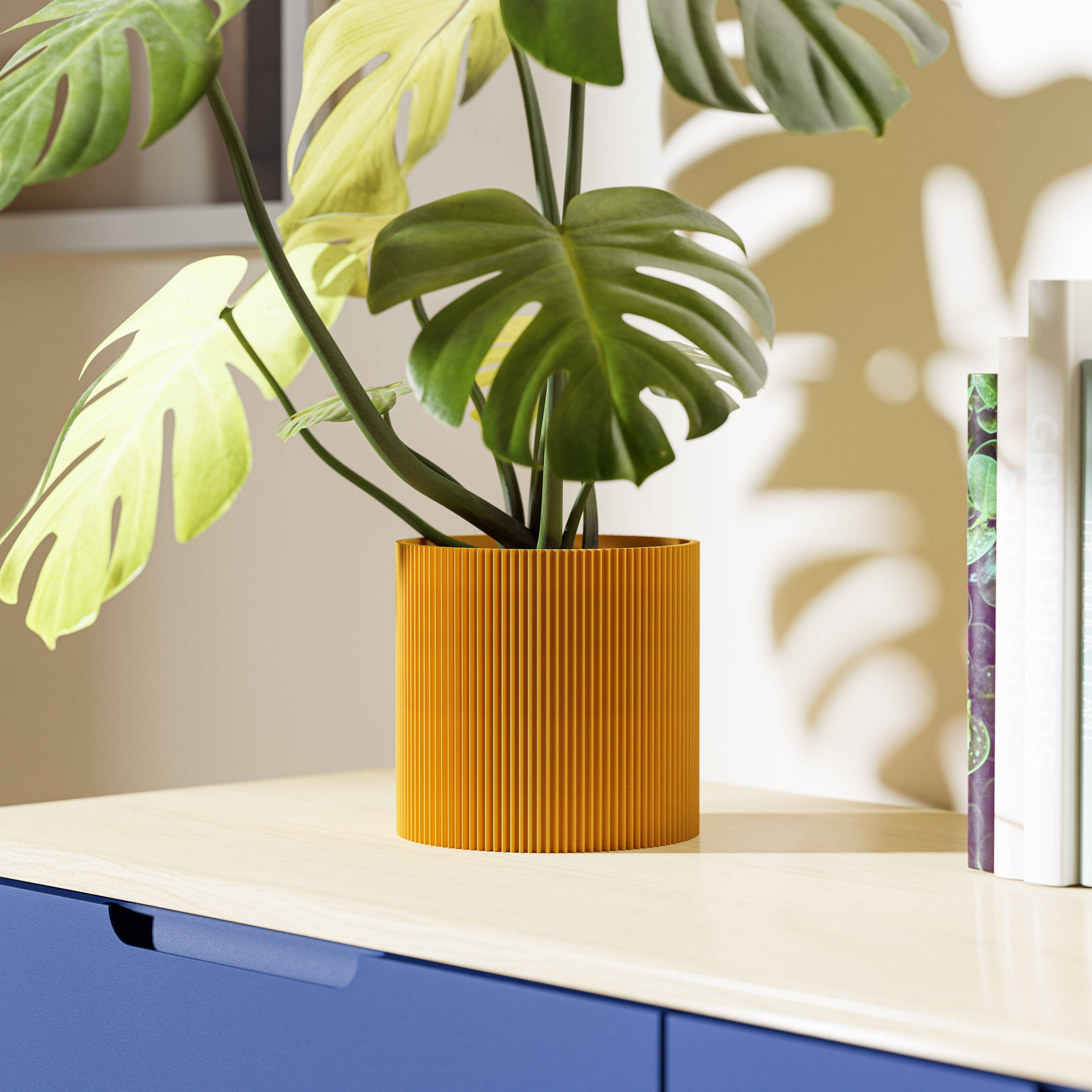 dennismaass. - Wholesale Plant Pot - GERADE - TOPF13