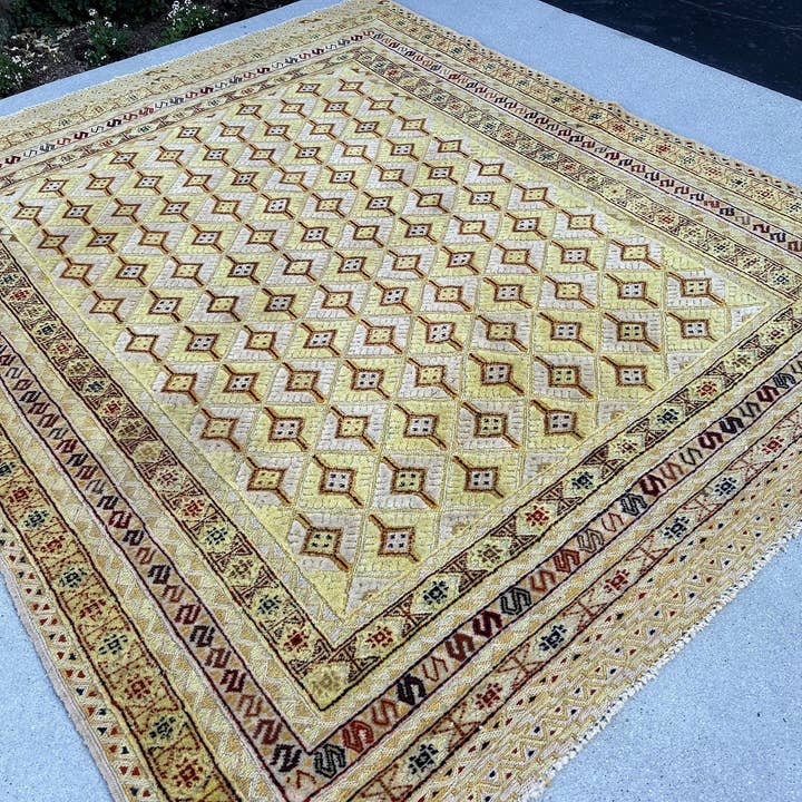 The Rug Mine - Wholesale Area Rug - Codi - 5x6 Vintage Barjasta Area Rug3