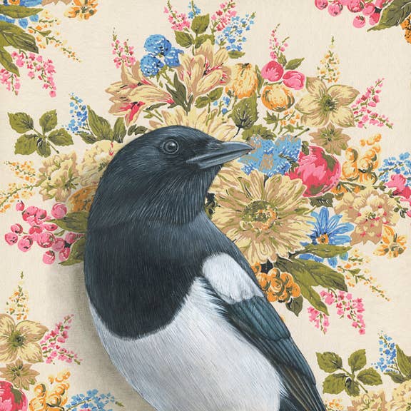 Emily Uchytil – Engroshandel Kunsttryk – Magpie - Kunsttryk - Fugleillustration0