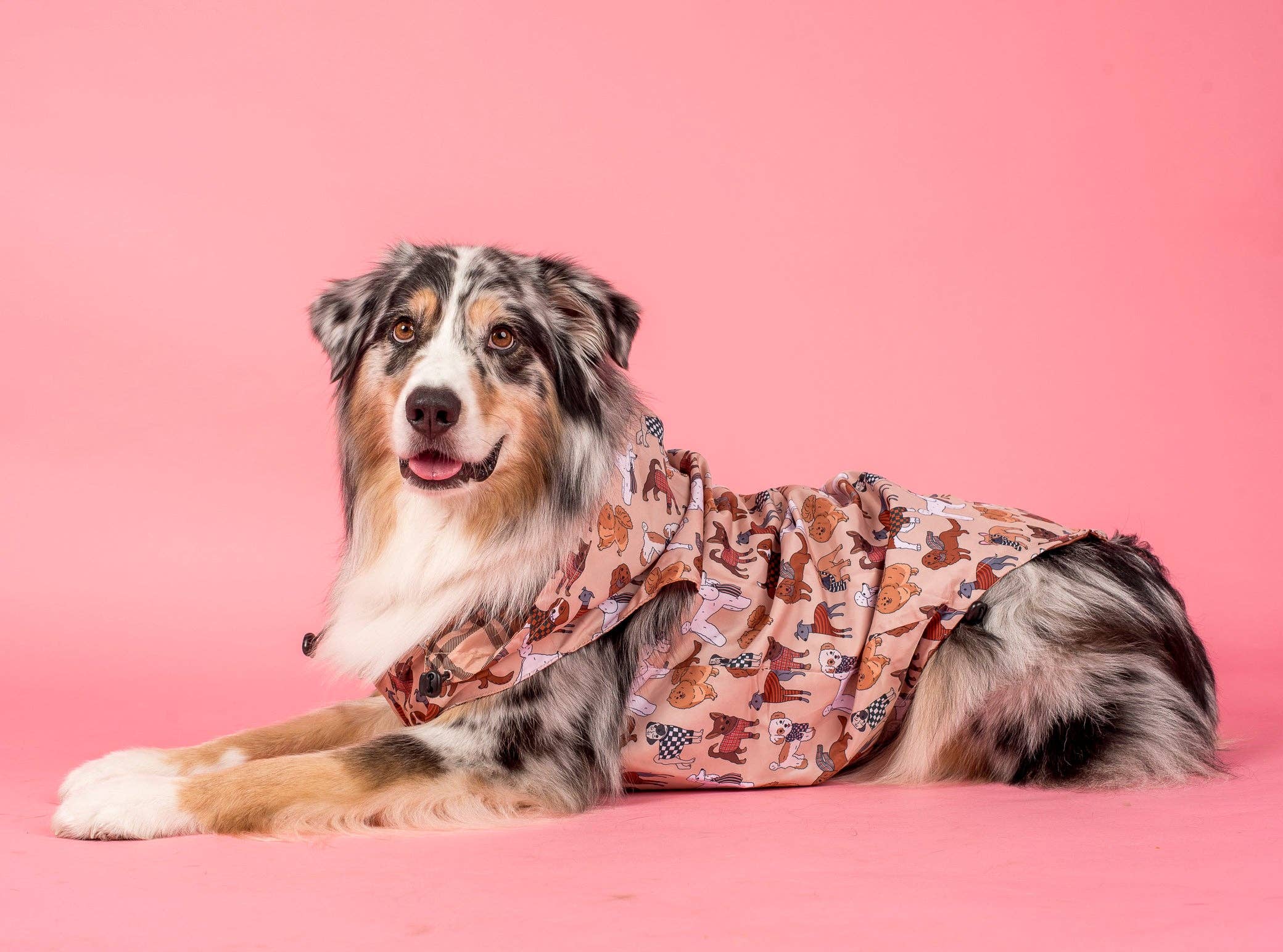 Pablo & Co. Boutique - Wholesale Pet raincoat – Dog - Winter Pooches / Kensington: Raincoat3