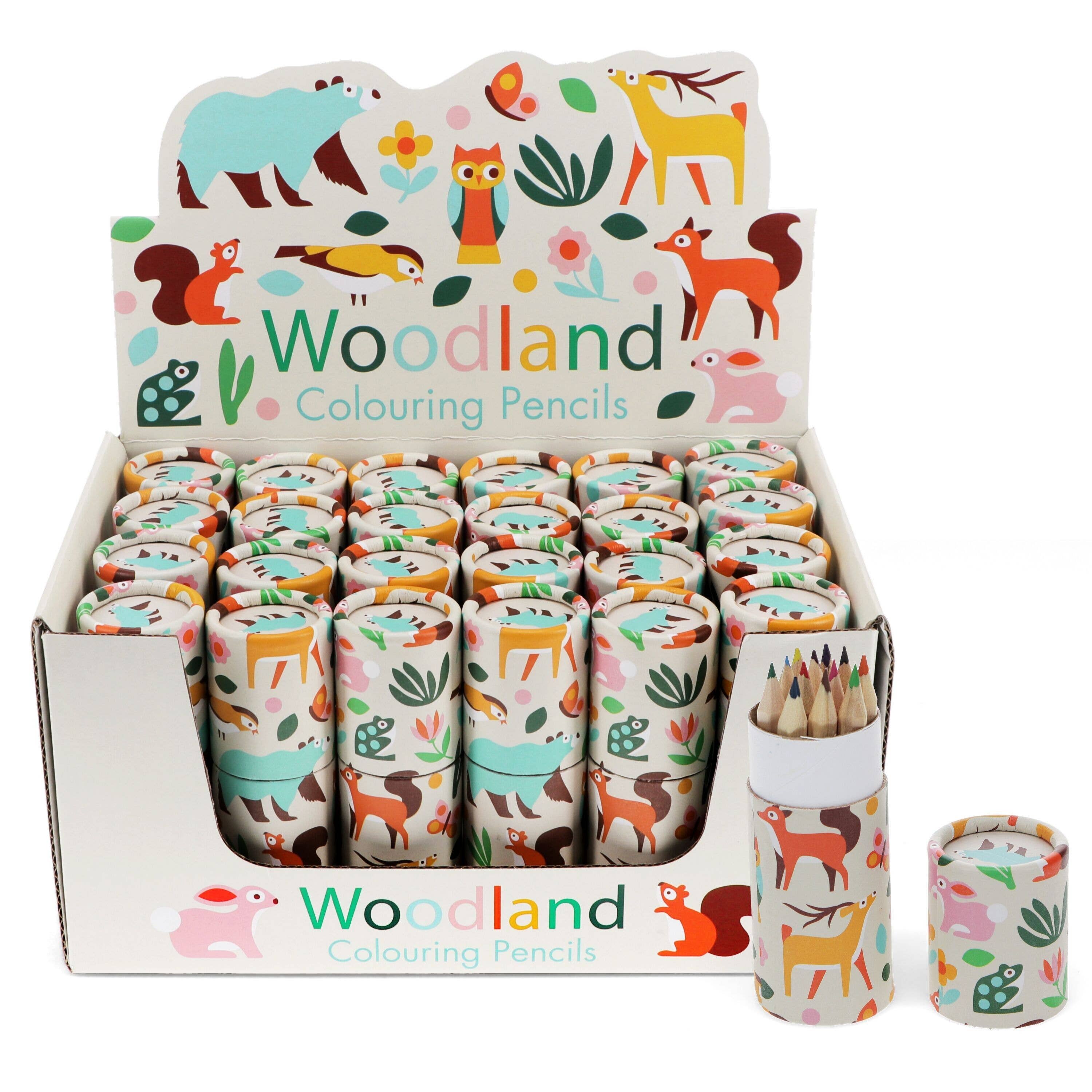 Rex B2B - UK - Vente Crayons de couleur - Tube de crayons de couleur - Forêt0