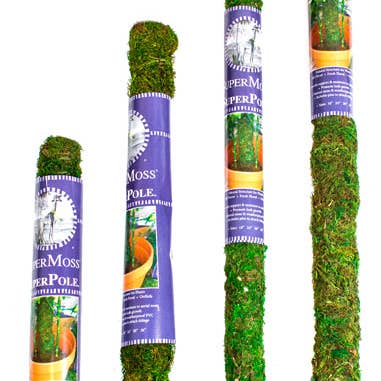 SuperMoss - Wholesale Trellis - SuperMoss Moss Poles
