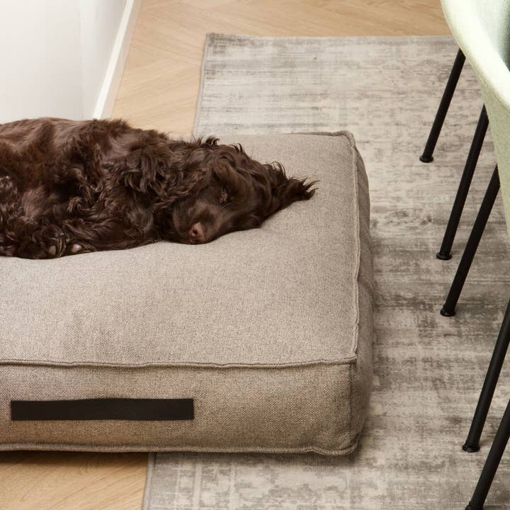 Hygge Dog Cushion Cappuccino for wholesale on Faire6