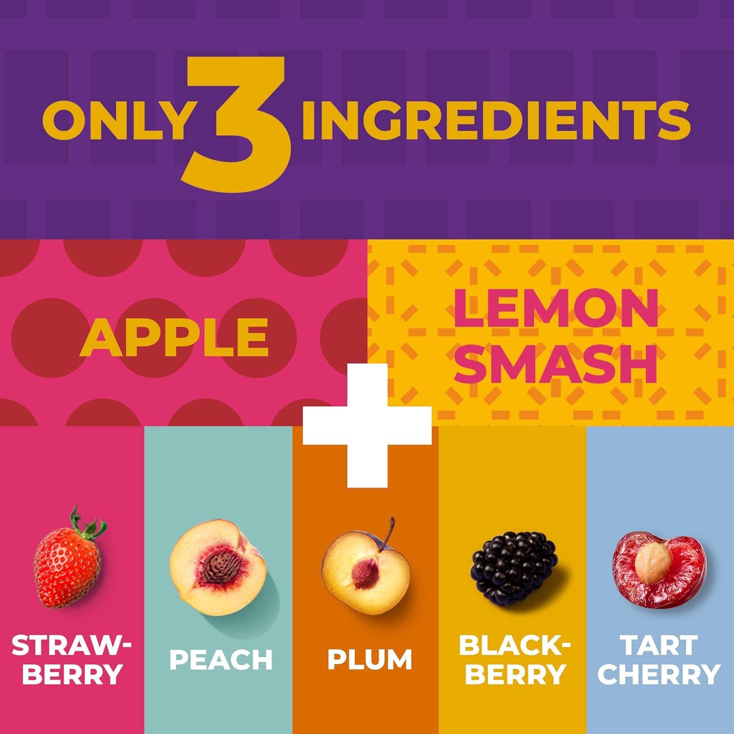 Zest Delites - Wholesale Fruit Snacks - Zest Delites Fruit Leather Snacks 0.88 oz x 50 packs4