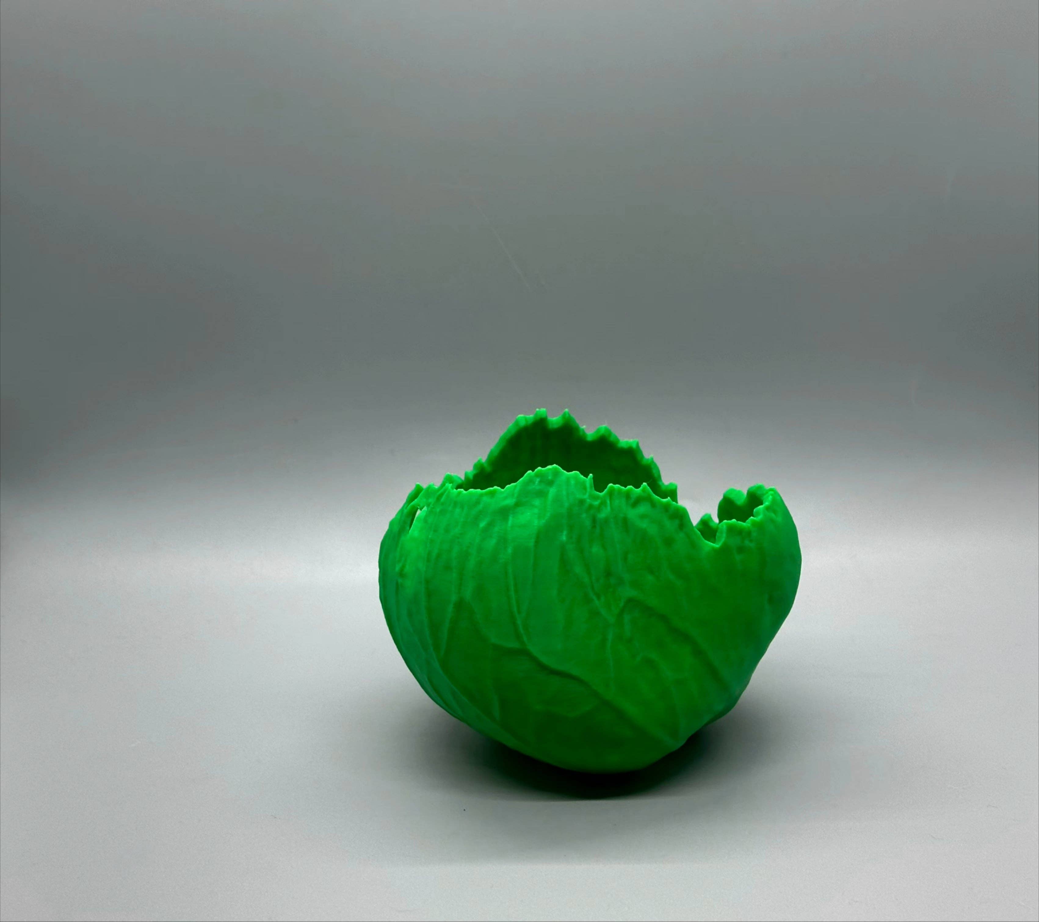 3DHotShop - Wholesale Plant pot - Cabbage Planter4