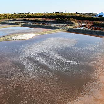 Artisans du sel - Wholesale Salt - Fine Guérande Salt bag 500gr2