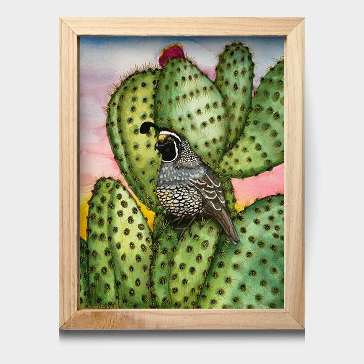 California Quail on Cactus Watercolor Art 11"x14" Print for wholesale by Chloe Marie Hourdequin Designs