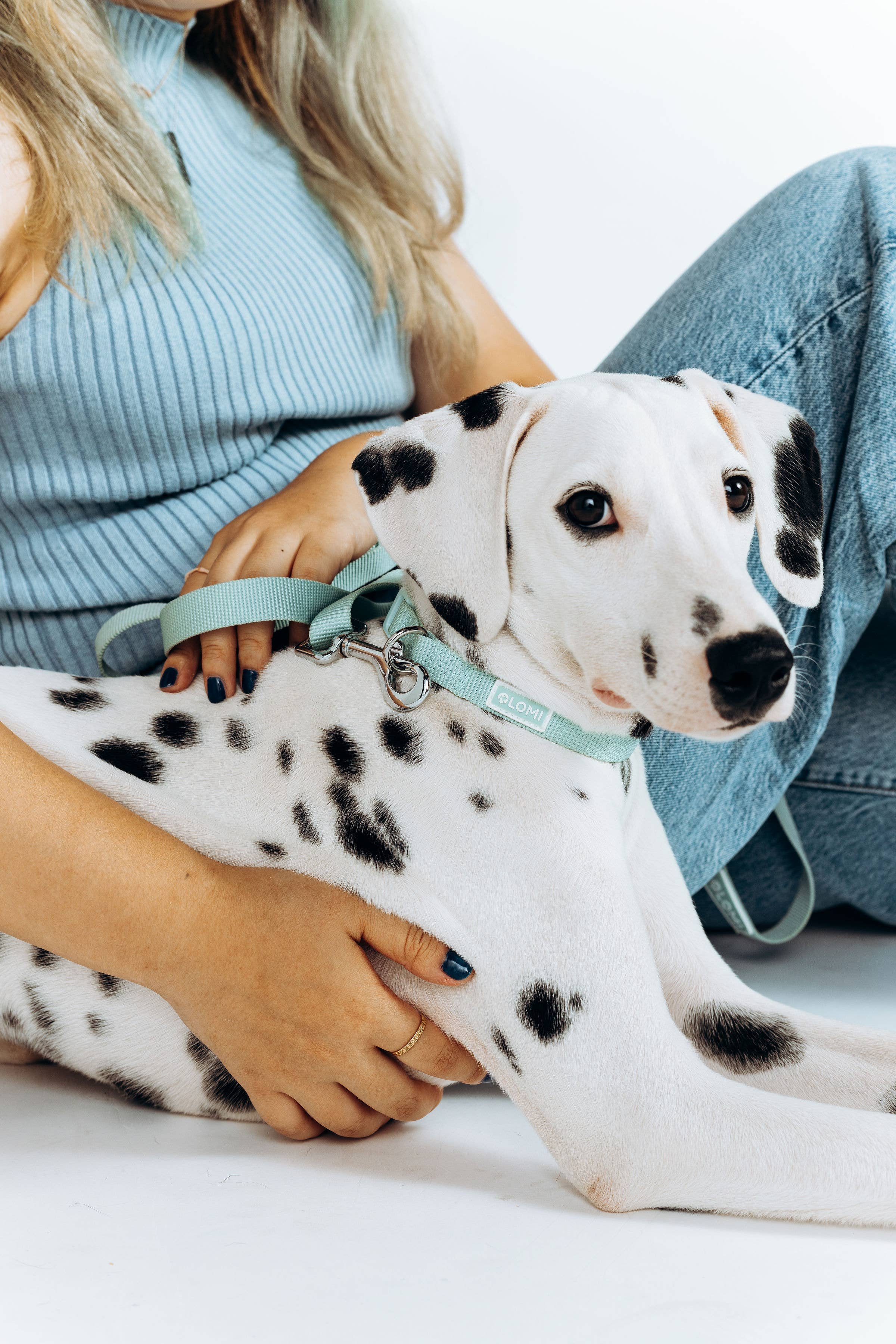 LOMI Pet Care - Wholesale Pet Collar - Dog - DOG COLLAR - ECO6