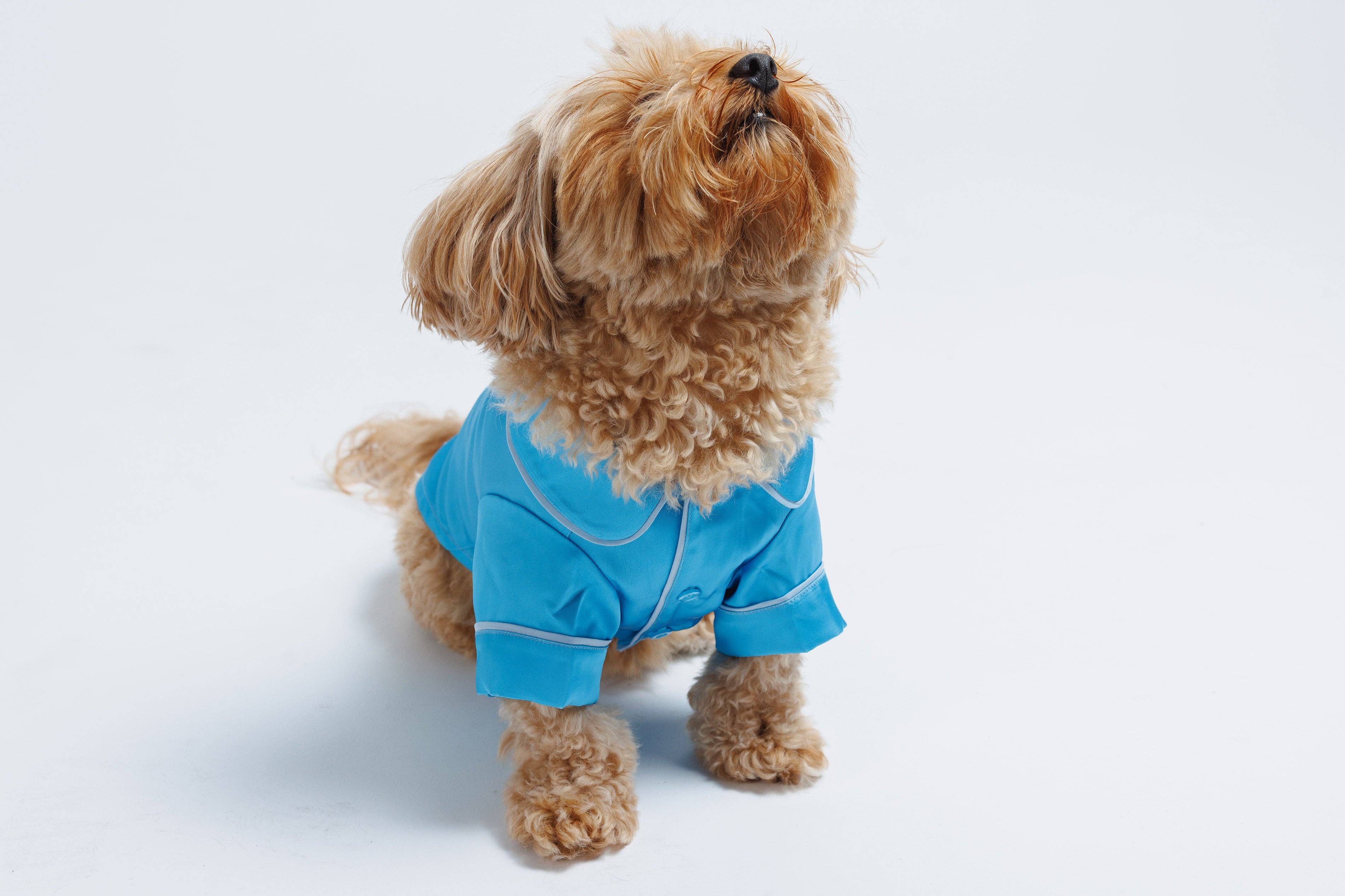 Both Tails - Wholesale Pet Pajamas - Dog - Blue Pet PJs3