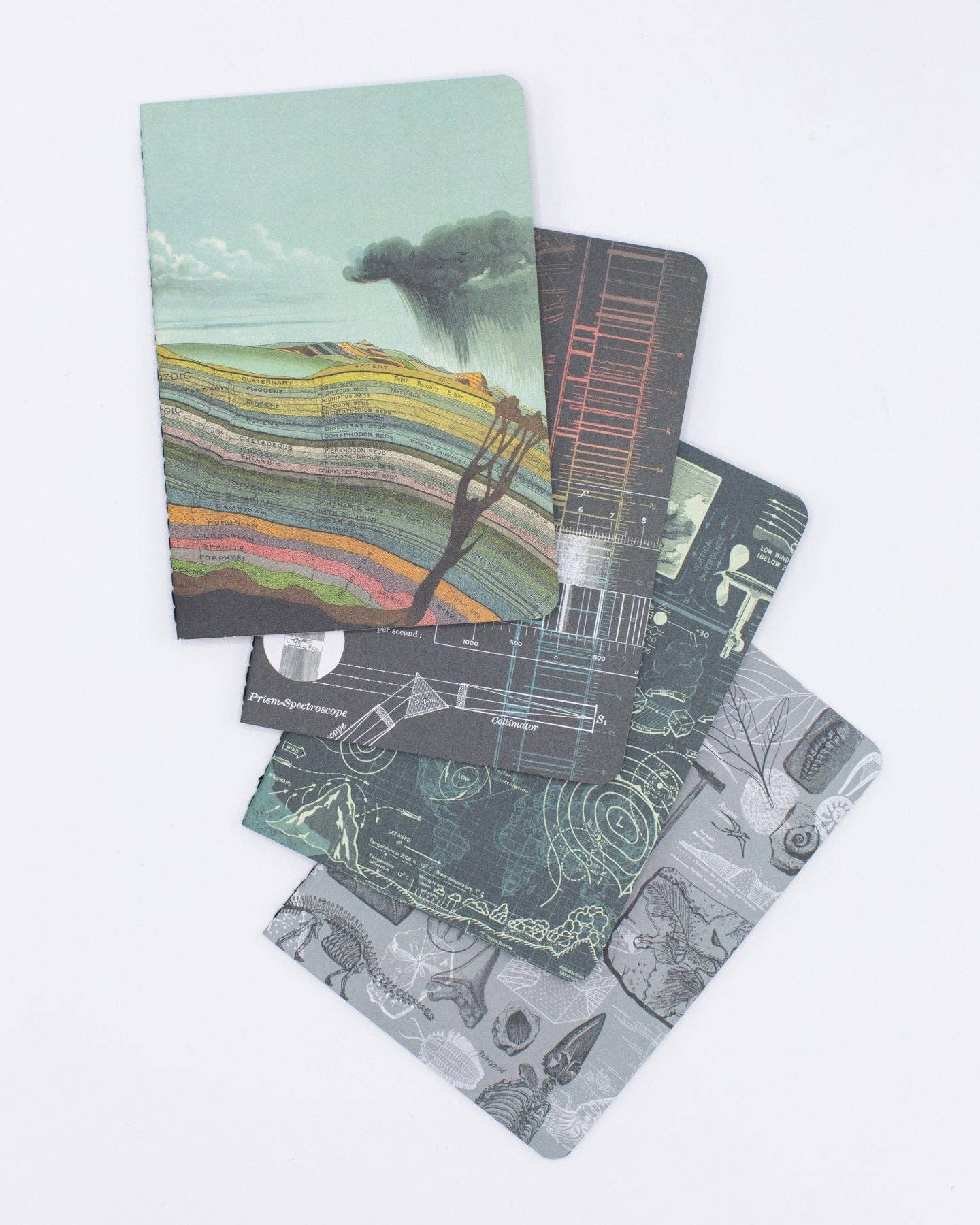 Cognitive Surplus EU - Wholesale Notebook - Natural History Pocket Notebooks 4-pack (Case of 4)0