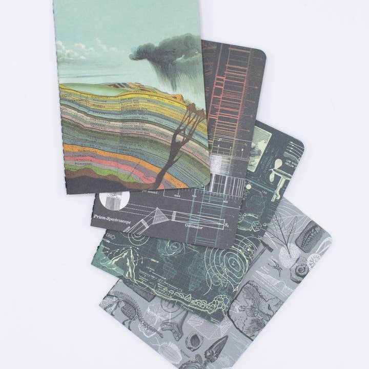 Cognitive Surplus EU - Wholesale Notebook - Natural History Pocket Notebooks 4-pack (Case of 4)