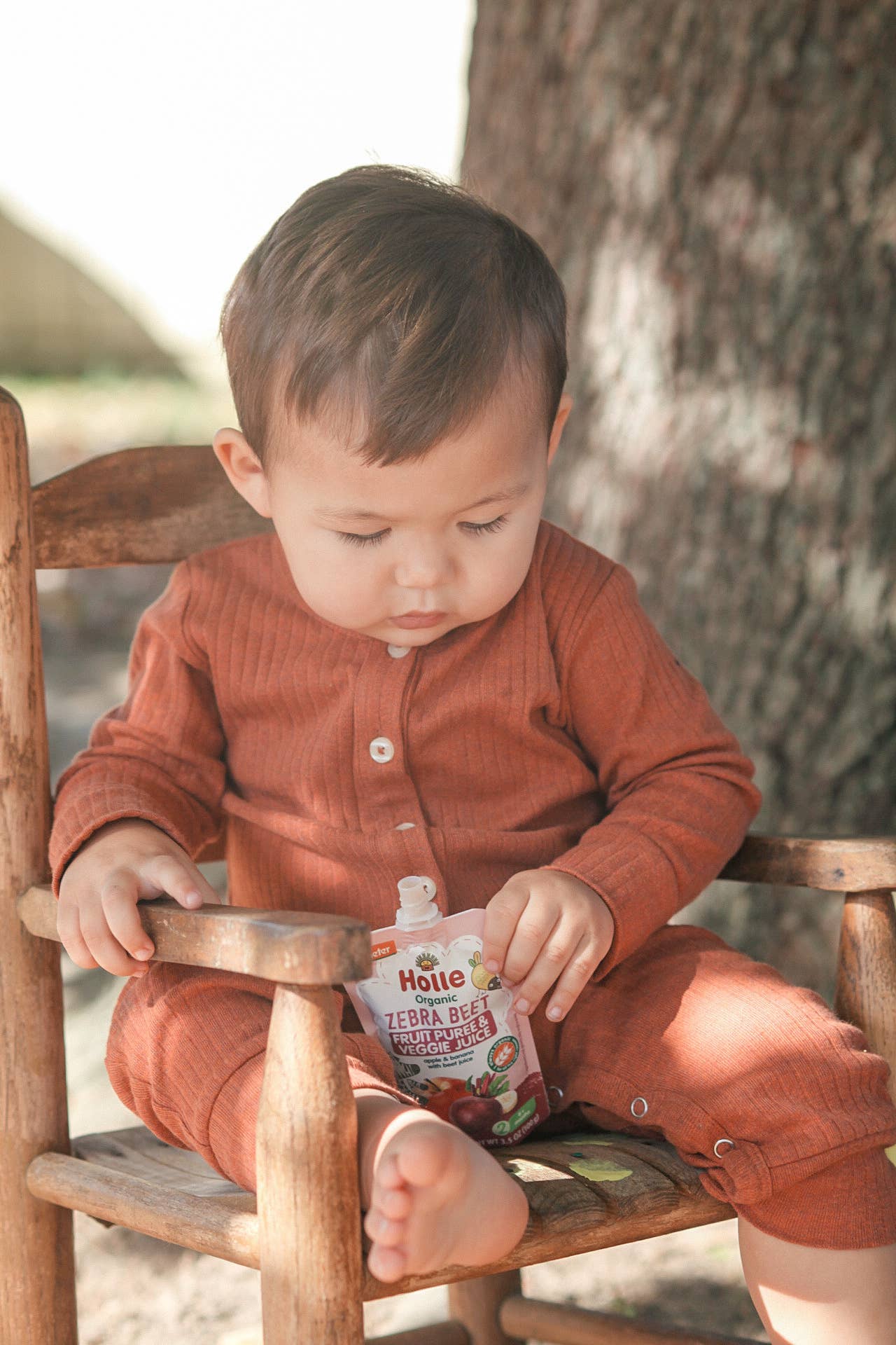 Holle USA - Wholesale Baby Food - Holle Biodynamic Baby Food Pouches: Zebra Beet (12 pack)3