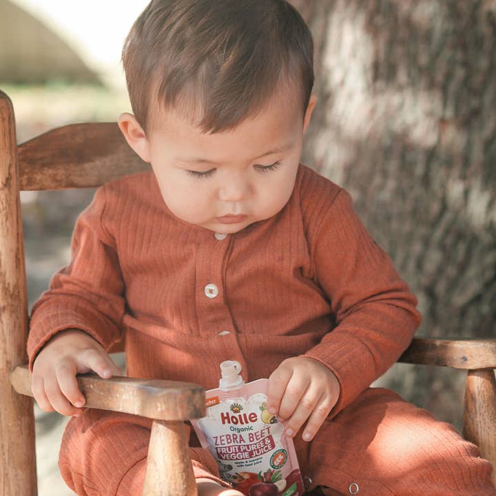 Holle USA - Wholesale Baby Food - Holle Biodynamic Baby Food Pouches: Zebra Beet (12 pack)3