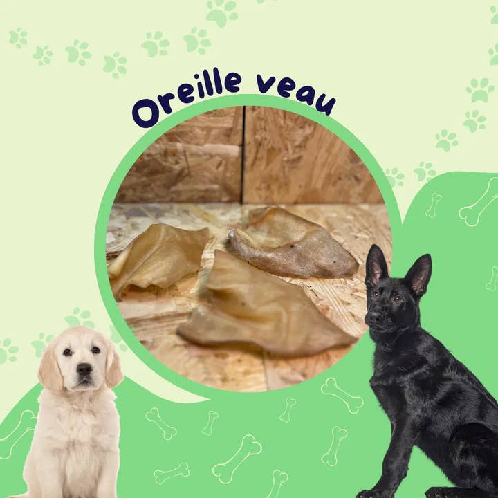 veal ears / dog treat for wholesale by JF animalerie
