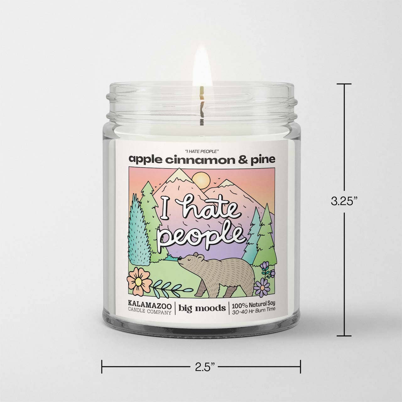 Big Moods - Wholesale Jar/Filled Candle - "I Hate People" Apple Cinnamon & Pine -  Luxury Soy Candle2