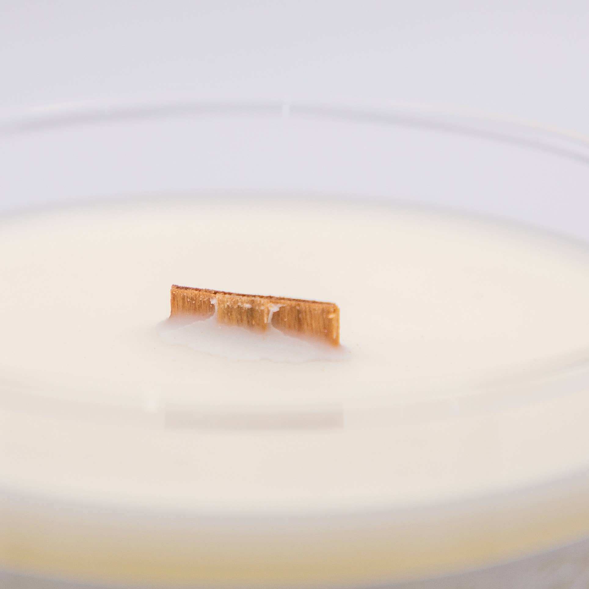 Linden Candle Company - Wholesale Jar/Filled Candle - Gingersnap Pumpkin Fall Candle1