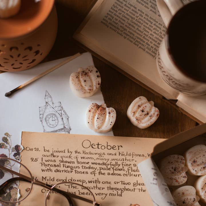 Last Autumn Pumpkin Patch / Autumn Fall Soy Wax Melts for wholesale by Meleri and Maple Co