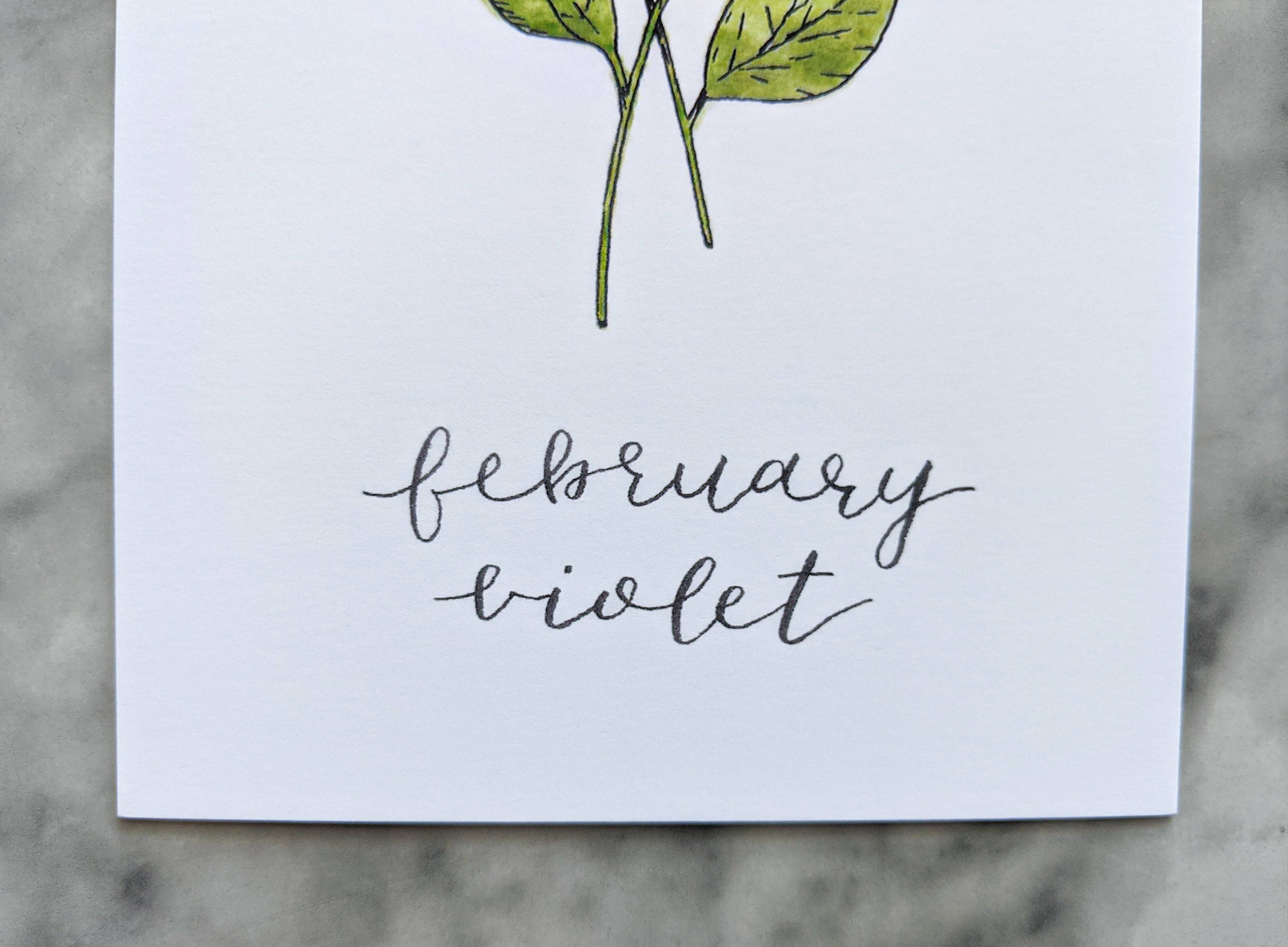 Kallos Ink - Wholesale Art Print - Birth Month Flower Print: February, the Violet4