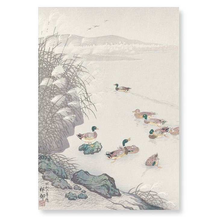 EENDEN IN HET WATER (1931): Japanse kunstdruk voor wholesale door Ezen Trade