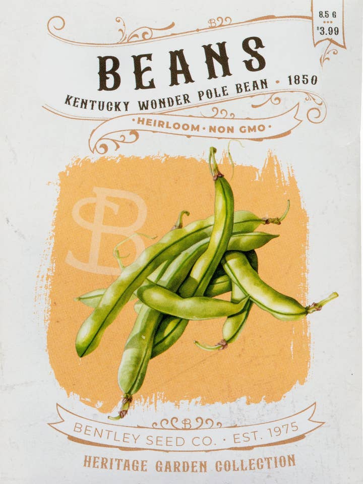 Beans-Kentucky Wonder Pole Bean 1850 for wholesale by Bentley Seed Co.