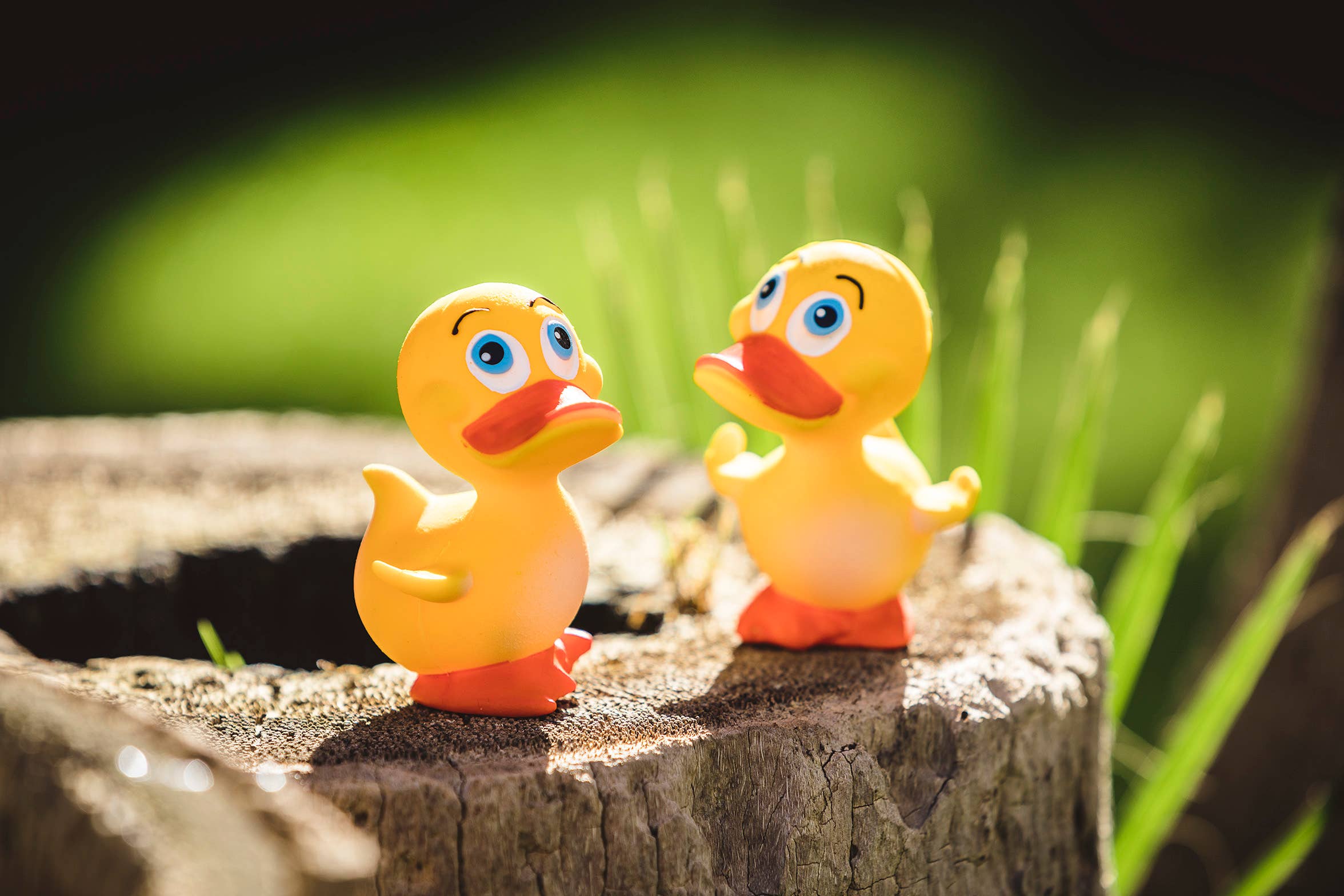 BASS&BASS - Vente Jouet pour le bain – bébé - Caneton de bain2