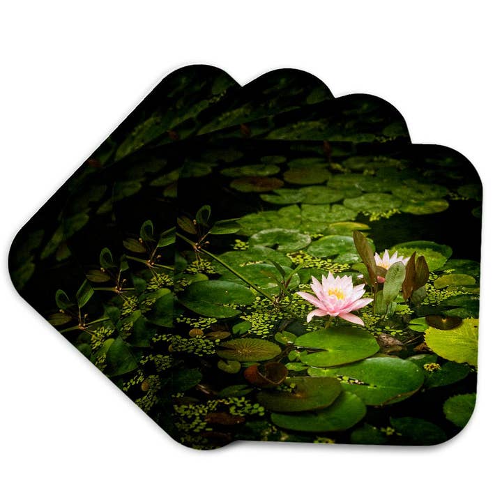 3dRose - Wholesale Coasters - 3dRose, Beautiful pink water lily flower in an artificial pond, Coaster7