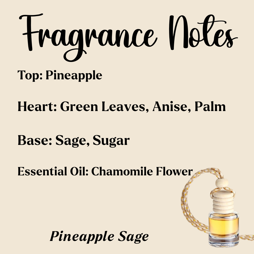 Honey Jar Creations - Wholesale Car Freshener - Unisex - Hanging Car Diffusers | Tropical Paradise | Made in USA4