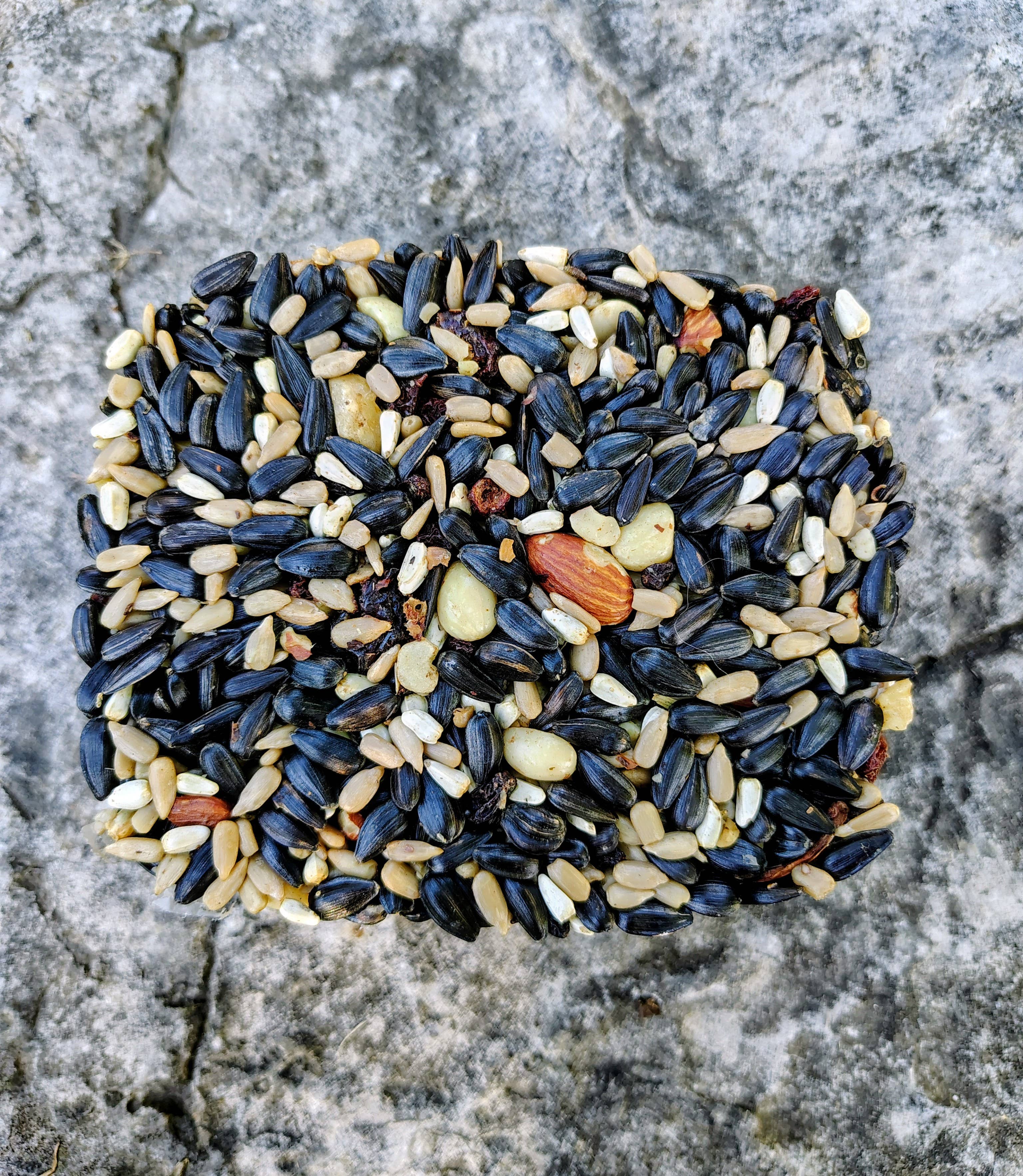 Backyard Tailz - Wholesale Bird Feeder - Birdseed Cake (Nut Berry Fruit)3