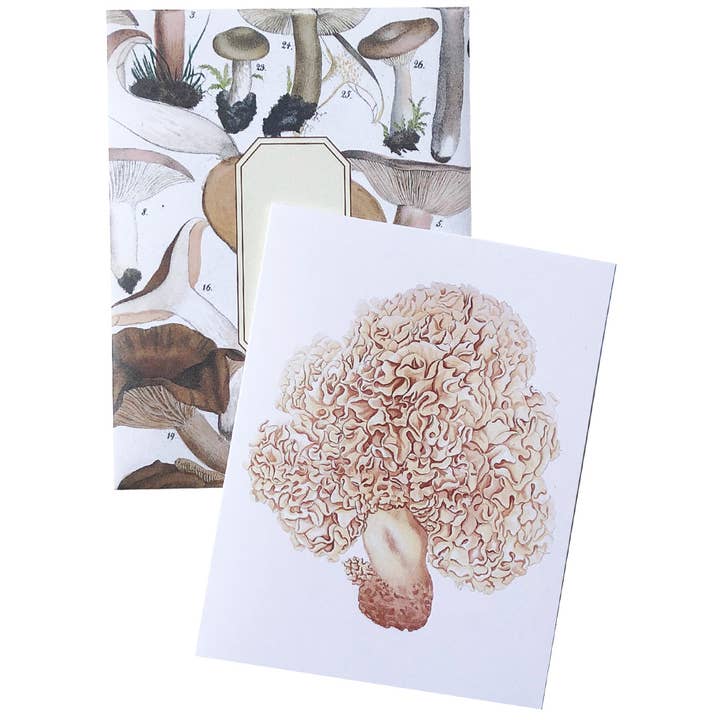 Artistry Cards - Wholesale Stationery/Notecard Set - Boxed Set of 8 Vintage Mushroom Greeting Cards6