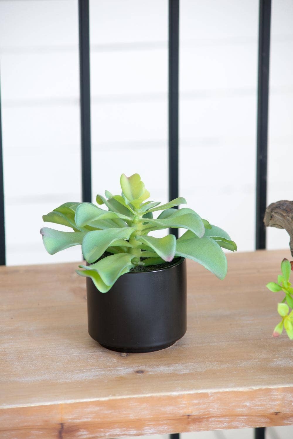 A&B Home Group Inc. – wholesale Artificial plant – Potted Succulent5