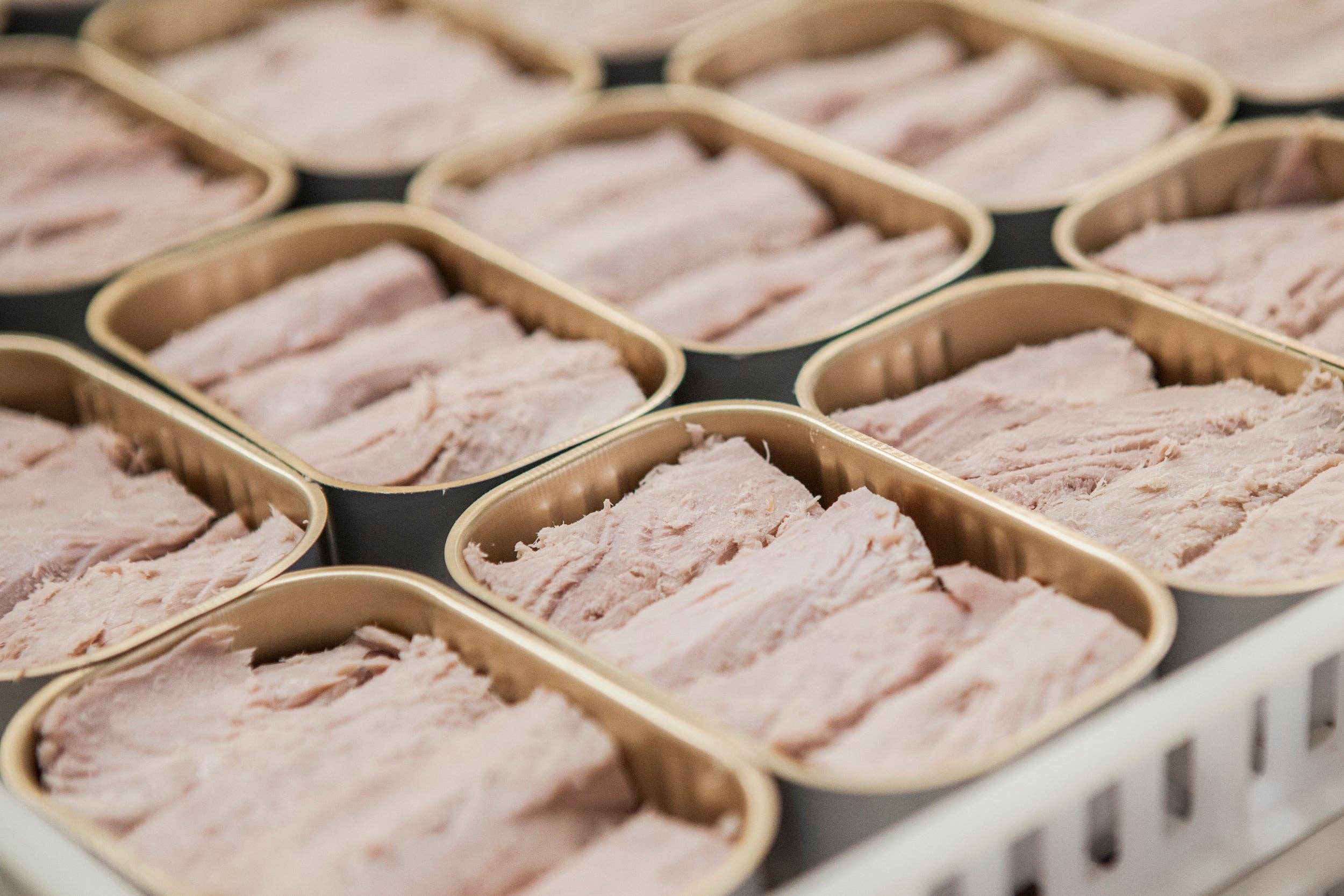 Portugalia Imports - Wholesale Tinned Fish - Santa Catarina Gourmet Tuna Fillets with Fennel and Olive Oil4