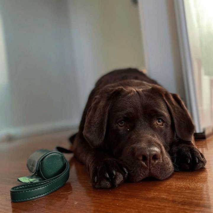 ST ARGO - Wholesale Pet poo bag dispenser - POOP BAG HOLDER - Bottle Green4