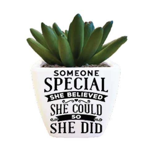 Sentiment Succulent - Someone Special for wholesale by The H&H Group