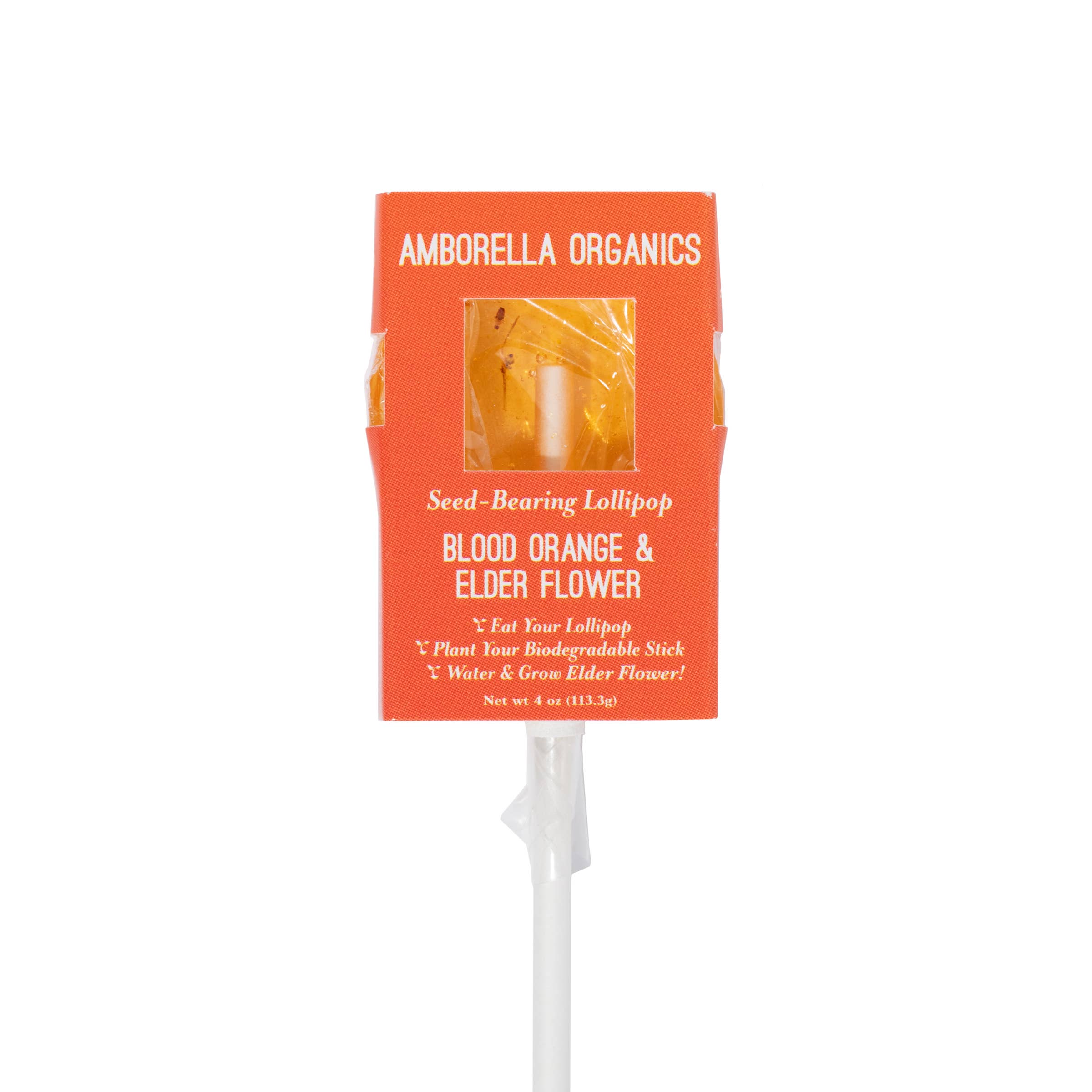 Amborella Organics – wholesale Klubba – Blooming Lollipop-paket (ät, plantera och odla örter/blommor)11