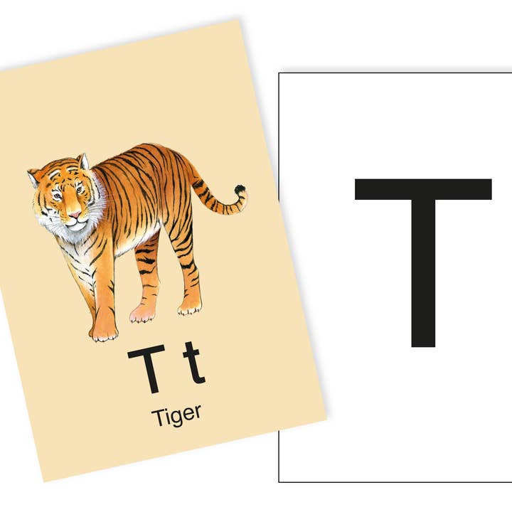 1 Postkarte T wie Tiger Ergänzungskarte zum ABC Karten Set für den Großhandel von fioniony®