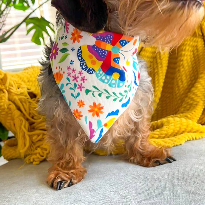 BLUE FEATHER SHOP - Wholesale Pet Bandana - Dog - Handmade Dog Bandana From Mexican Fabric. Butterfly design