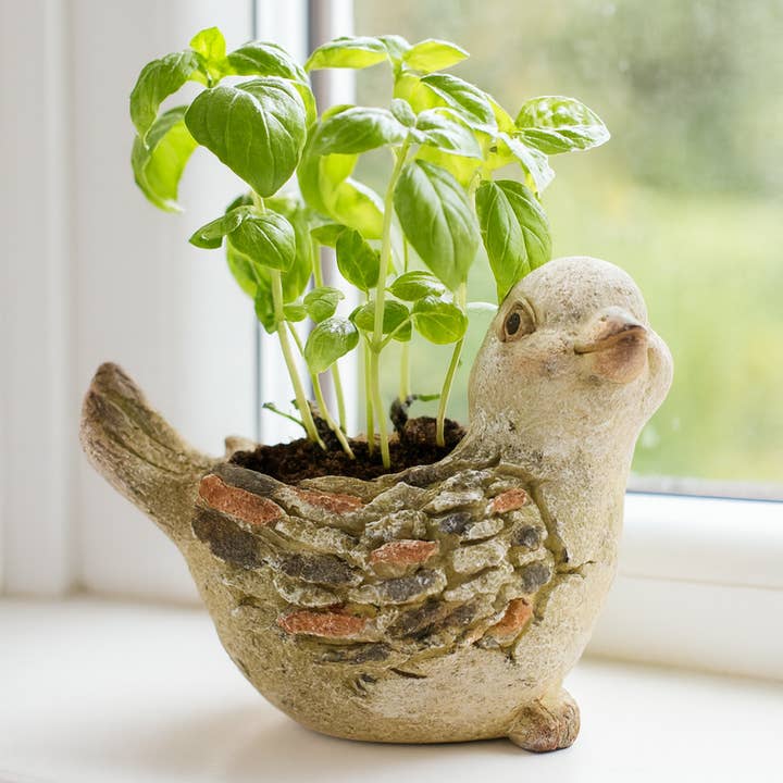 Mini Bird Planter for wholesale by RCS Gifts