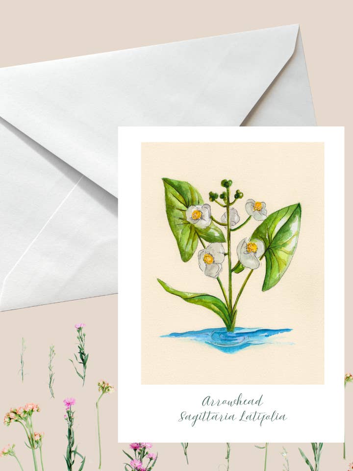 Botanical Wildflower Watercolor Greeting Card #28 for wholesale by Wild Botanical Atelier