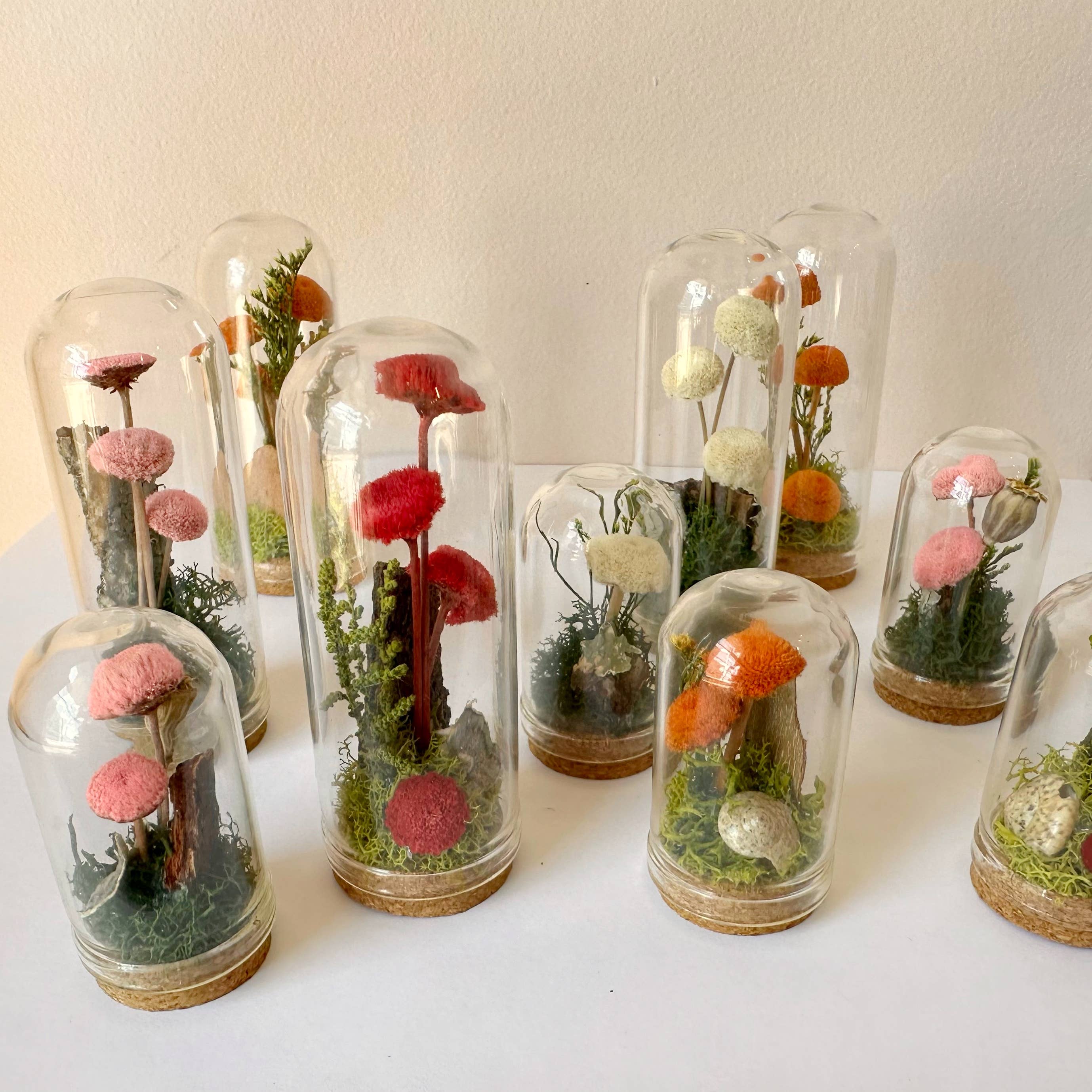 CA Studios - Wholesale Terrarium - Mushroom Mix Terrarium Glass Cloche Cork Jar & Florals11