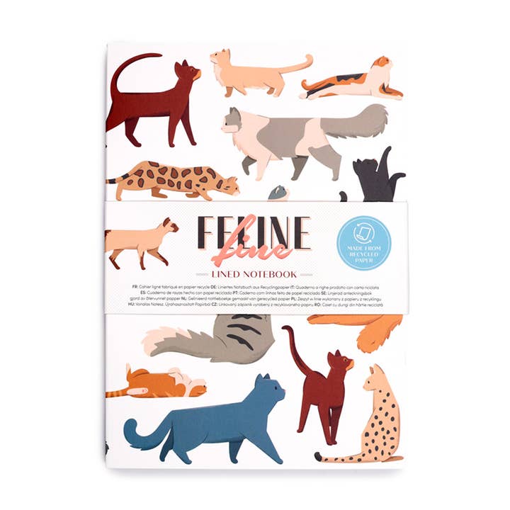 Puckator Ltd - Wholesale Notebook - Feline Fine Cats Recycled Paper A5 Notebook