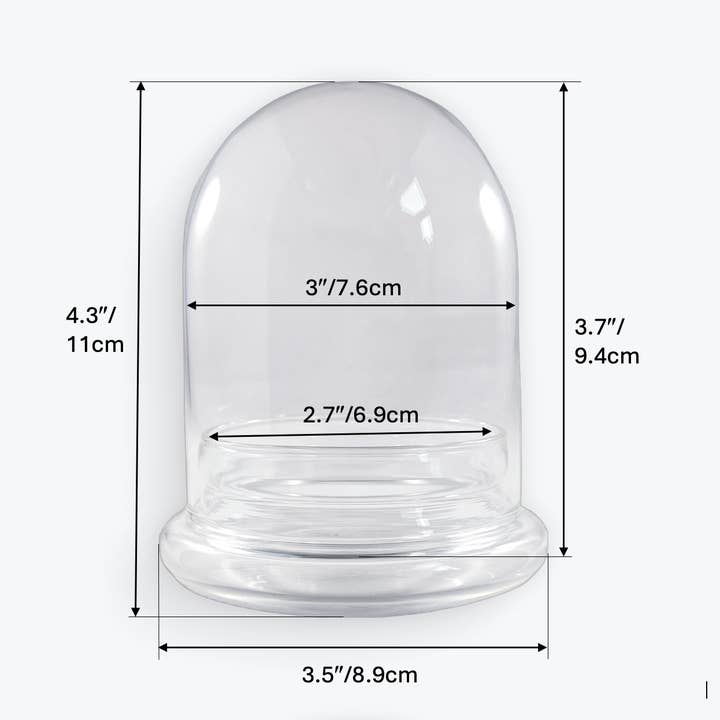 bloomify - Wholesale Terrarium - Bloomify Glass Large Dome – 3.5 x 3.5 x 4.3 Inches – Premium Anti-Fog Glass Cloche Bell Jar with Base - Perfect for Home Decor, Tabletop Displays, Terrariums, and Creative Projects (No Plants)6