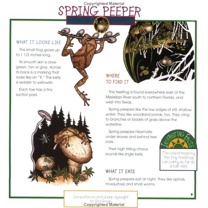 REMOVED BRAND - Wholesale Nature & Outdoors - Frogs, Toads & Turtles: Take Along Guide7