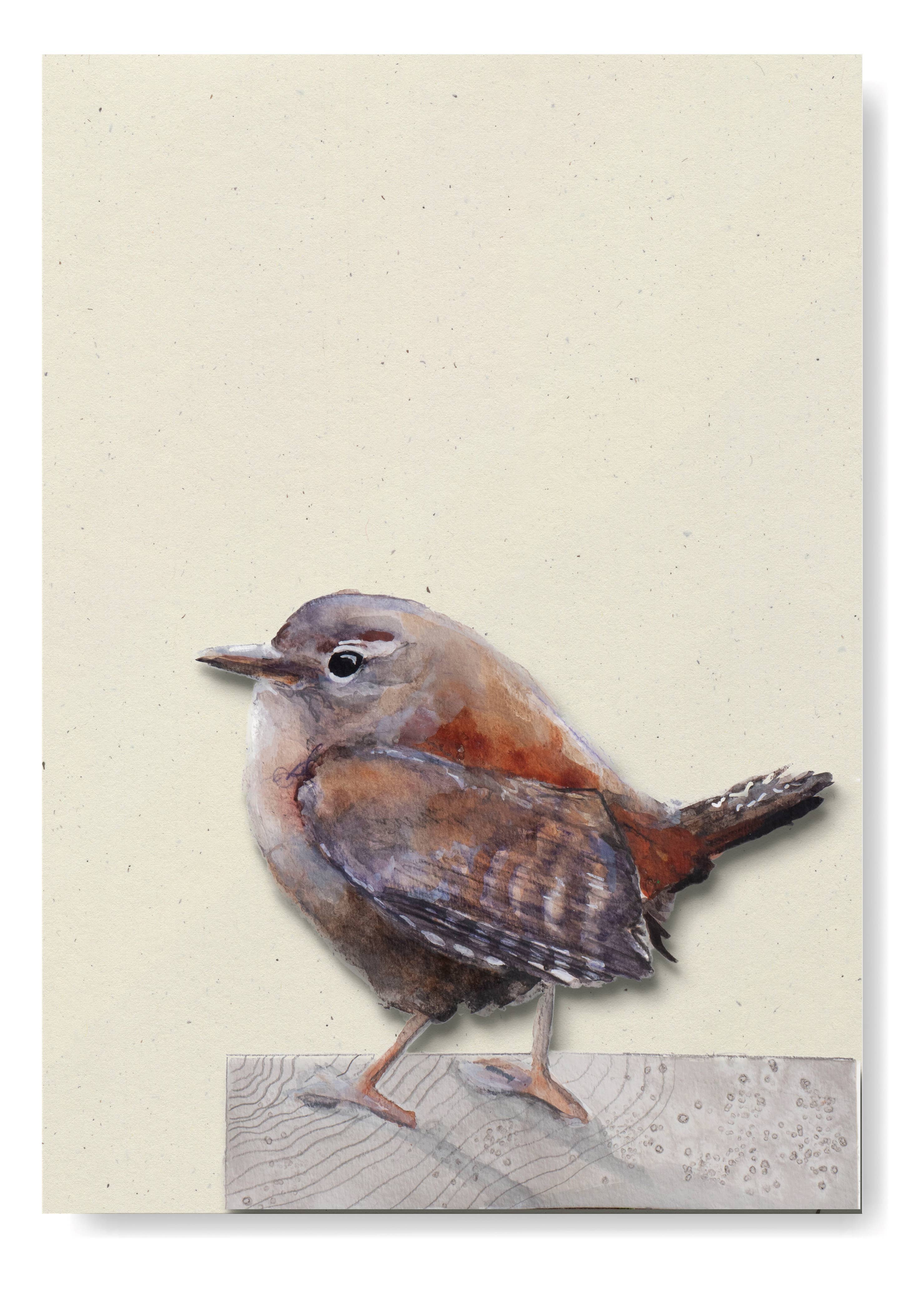 Studio Angelart - Wholesale Stationery/Notecard Set - Bird Greeting Cards Set - 12 pieces2